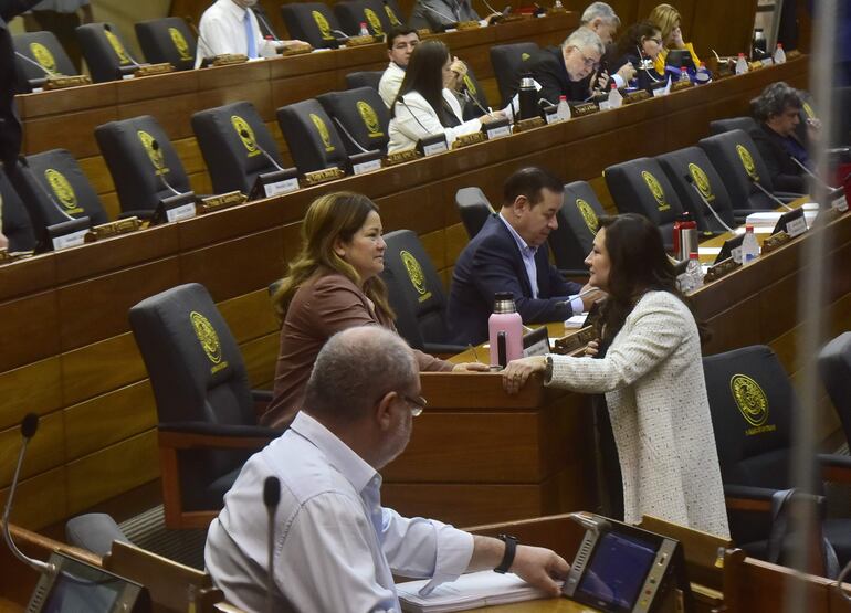 Las diputadas cartistas reelectas Cristina Villalba y Rocío Abed dialogan durante la sesión. Honor Colorado en Cámara Baja sigue dando vía libre a pedidos de créditos en plena etapa de transición.