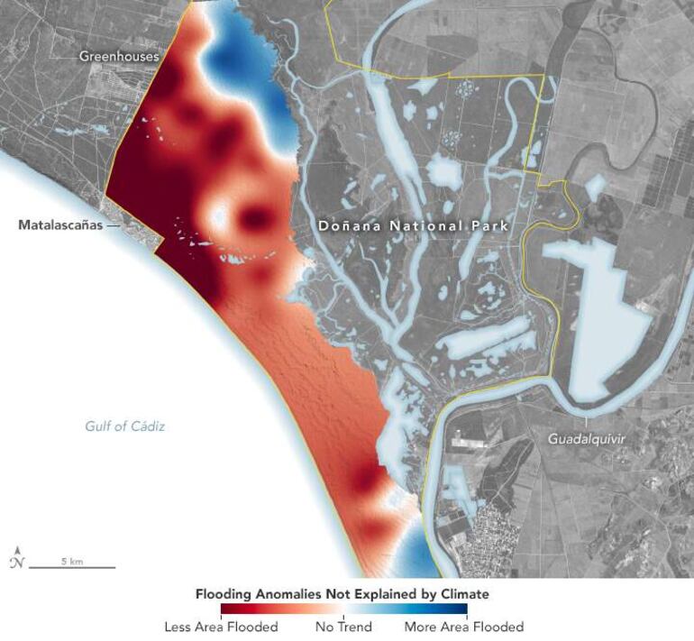 El Observatorio de la Tierra de la NASA (NASA Earth Observatory) ha afirmado que "la agricultura y el turismo más allá de las fronteras del parque han gravado cada vez más el suministro de agua" en Doñana y que el 83 % de los humedales están menos inundados de lo que podría explicarse por la sequía. La agencia estadounidense ha dado a conocer un informe en el que cita las conclusiones de un estudio que ha utilizado durante más de tres décadas datos satelitales para comprender cómo las demandas humanas en el acuífero han afectado a los estanques. Para ello los científicos de la Estación Biológica de Doñana usaron Landsat Imágenes para cuantificar el alcance y la duración de las inundaciones en 316 estanques entre 1985 y 2018 y concluyeron que, en gran parte, el uso del agua subterránea causó que la mayoría de ellos "se inundaran con menos frecuencia y, en algunos casos, se secaran por completo". 