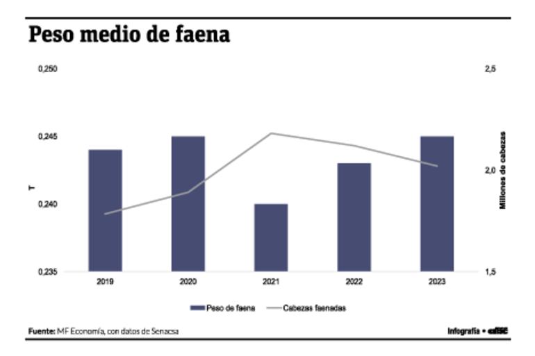 Peso medio de faena 2019-2023. MF Economía