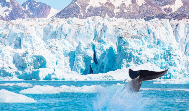 Ballena cerca de Groenlandia Oriental.