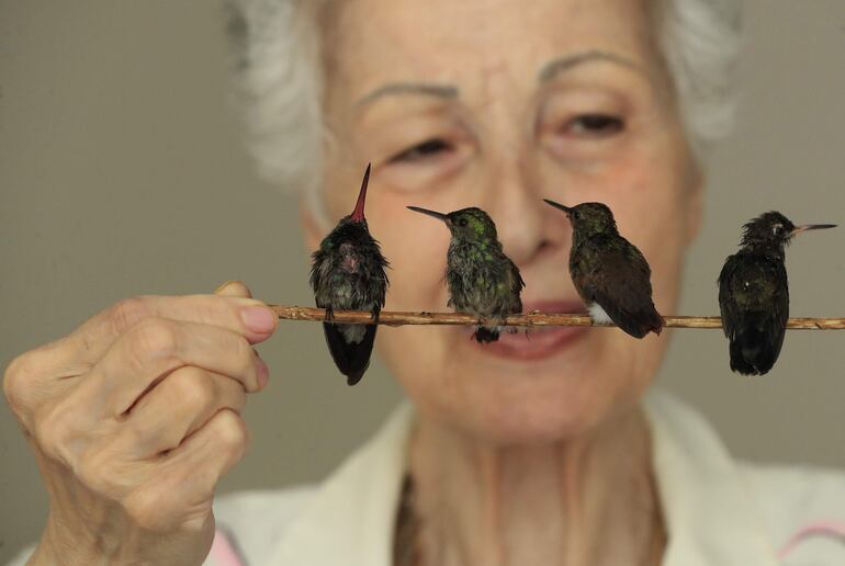 La guardiana de los colibríes, Catia Lattouf de Arída.