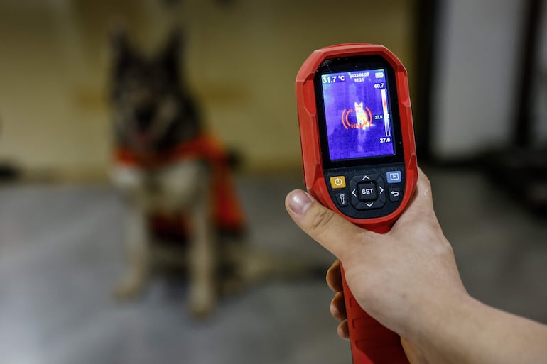 Equipamientos tecnológicos utilizados por los detectives de mascotas. 
