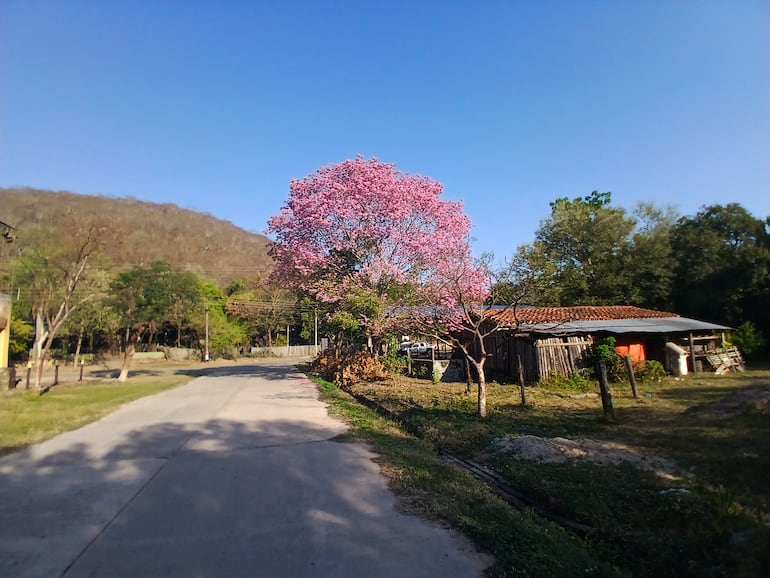 Imagen pintoresca de una de las calles de Fuerte Olimpo. En el fondo sobresale uno de los cerros Los Tres Hermanos.