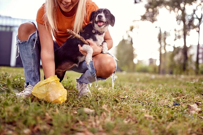 Los dueños responsables deben llevar consigo una bolsita para recoger los excrementos del perro.