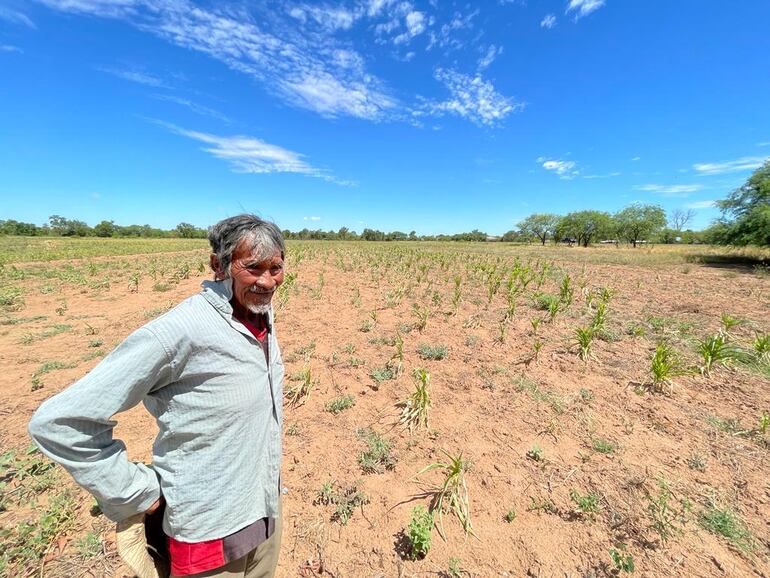 Un hombre en su plantación casi arruinada a causa de la sequía. 