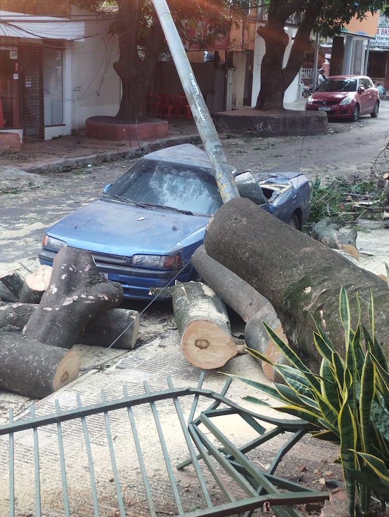 Árbol cayó en la plaza Carmen de Lara Castro del barrio San Pablo de Asunción y destrozó una casa y un auto.