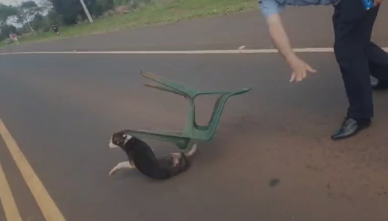 Agente de la Policía Nacional agrede a un perro durante una manifestación indígena en Caaguazú.