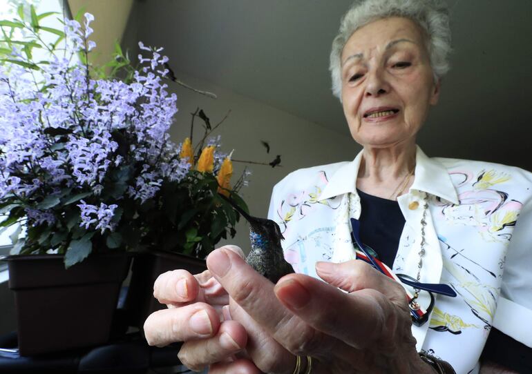 La guardiana de los colibríes, Catia Lattouf de Arída. Ha dedicado su vida a rescatar y cuidar colibríes heridos y huérfanos en su pequeño departamento, que ha habilitado como un hospital.