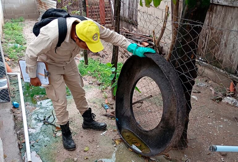 Dengue: sube a 13 las regiones más afectadas por el arbovirosis