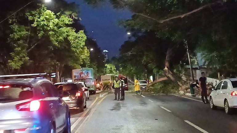 Árbol caído en Mariscal López, entre General Santo y 22 de Septiembre.