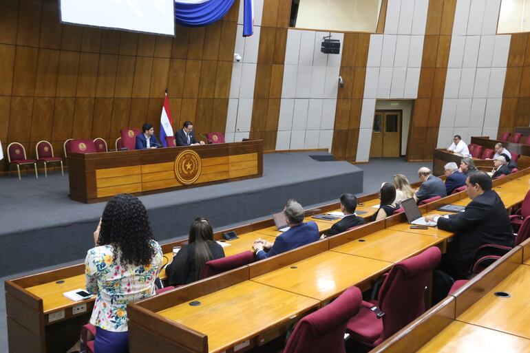 La audiencia pública se realizó ayer en la Sala Bicameral del Congreso Nacional.