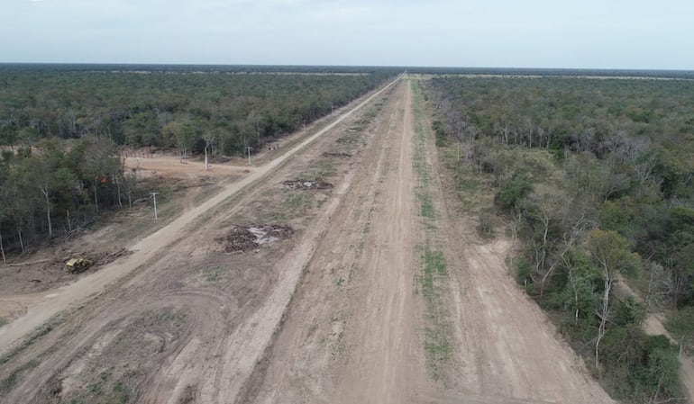 Una de las pistas clandestinas que fue intervenida en julio de 2023 por la Secretaría Nacional Antidrogas (Senad) en el Chaco paraguayo. (Foto: Gentileza de Senad)