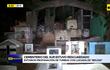 Video: Cementerio del sur estuvo resguardado