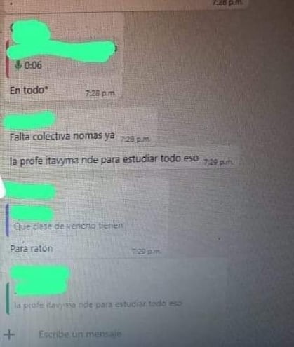 Captura de pantalla del grupo de whatsapp de los estudiantes.