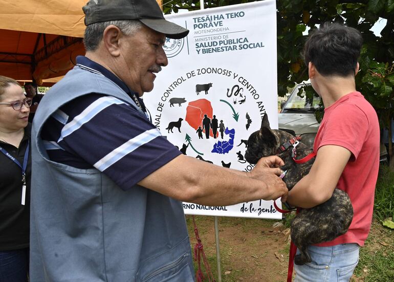 Además de vacunación antirrábica, en el AutoCan habrá desparasitación, diagnóstico de leishmaniasis visceral canina y adopción de mascotas.