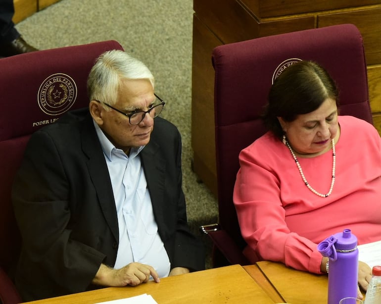 Los senadores Ignacio Iramain (PEN) y Esperanza Martínez (Frente Guasu).