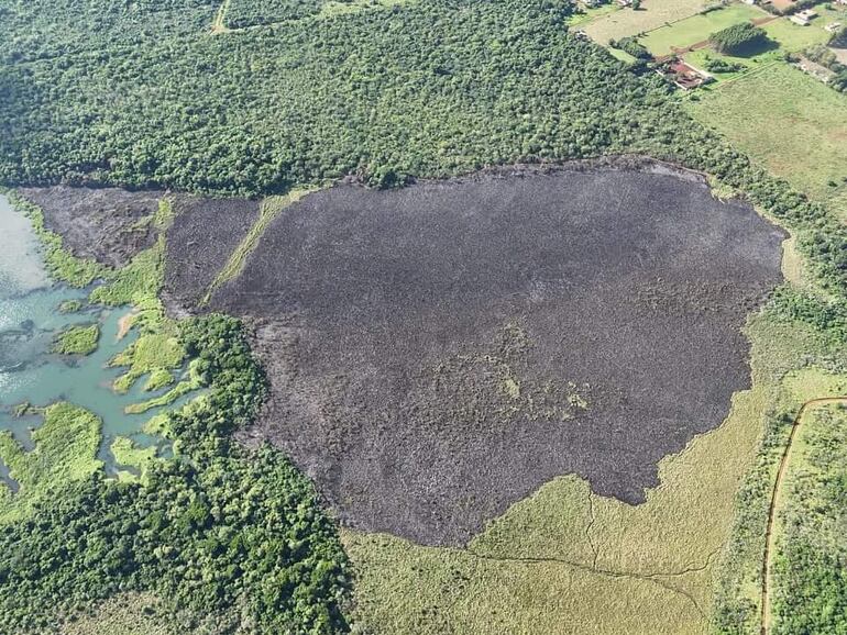 Así quedó el área natural consumida por el incendio en la reserva bajo dominio de Itaipú.