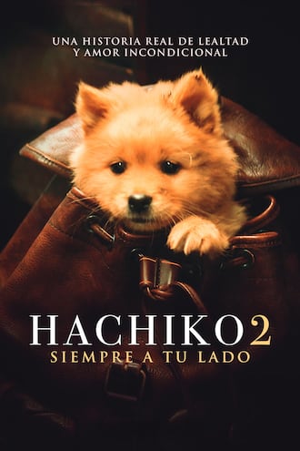 Hachiko 2 película