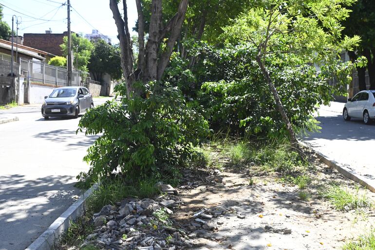 Paseo Central de Carlos A. López con malezas y pisos sin terminar que no permiten su uso.