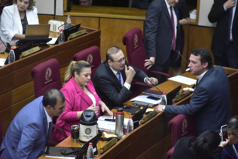 Sesión extraordinaria de la Cámara de Senadores.