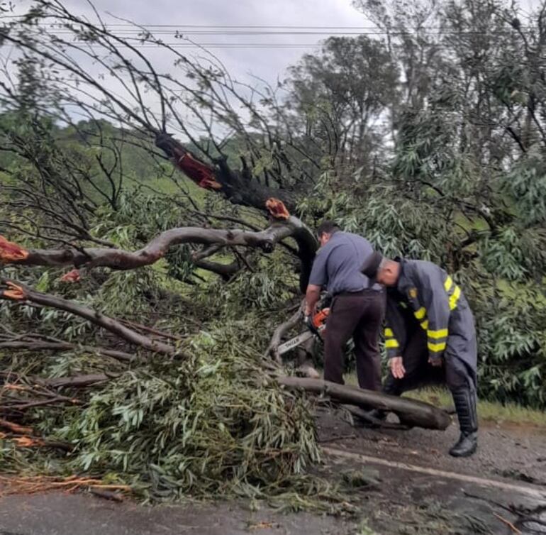 Inspectores de la Patrulla Caminera de Coronel Oviedo trabajando para despejar un árbol caído en la Ruta PY08.