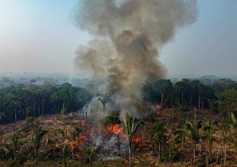 El estado brasileño de Amazonas declara una emergencia ambiental ante los incendios