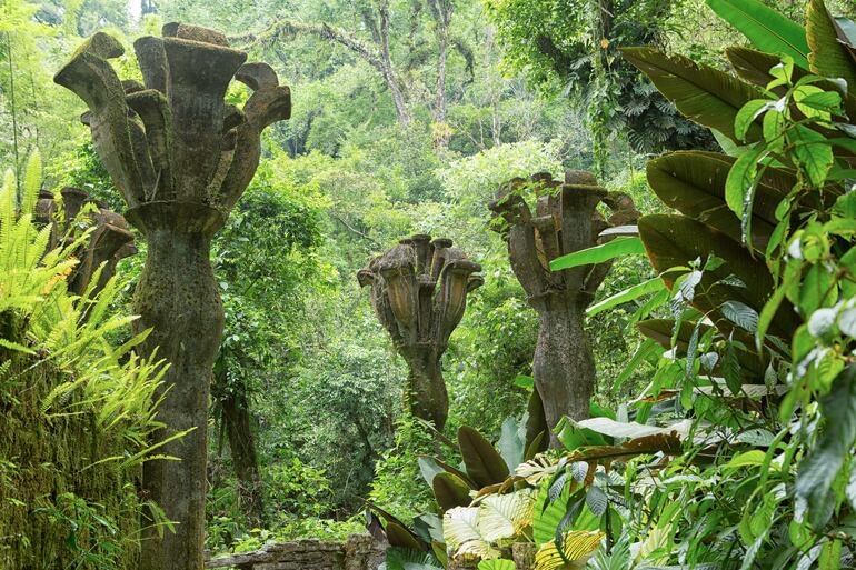 Xilitla, Mexico: Jardines de Las Pozas.