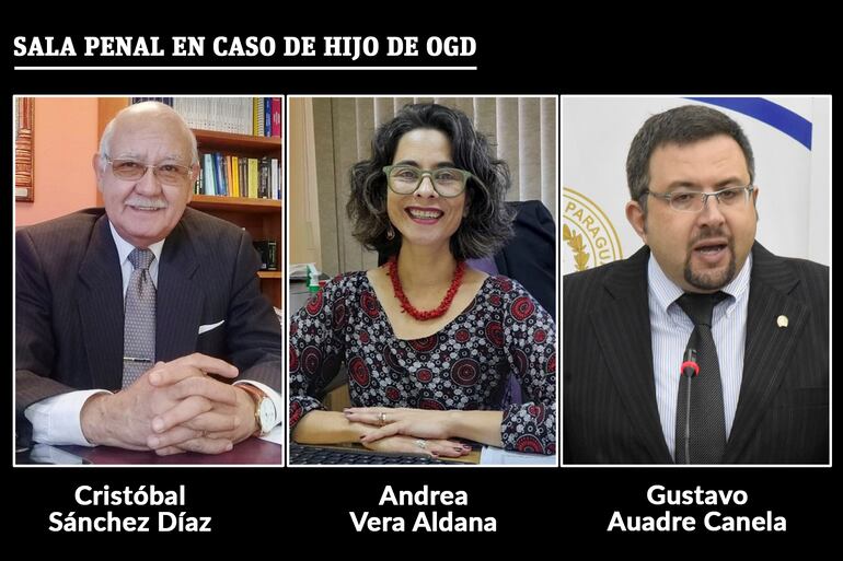 Integrantes de la Sala Penal de la Corte que debe resolver la casación planteada por el hijo de OGD.