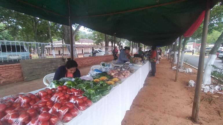 Productores prepararán la exposición frutihortícola al pie del cerro Acahay.