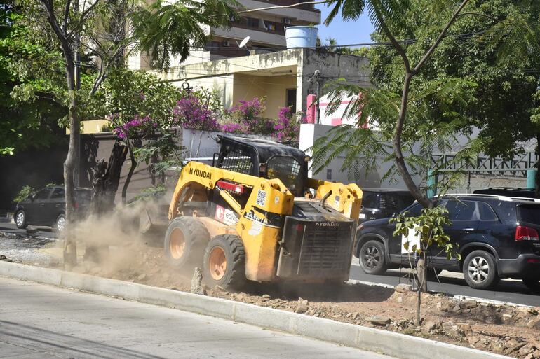 Máquinas trabajaban hoy en el paseo central de la avenida Carlos Antonio López. El mismo tiene bastante vegetación, la que es conservada.