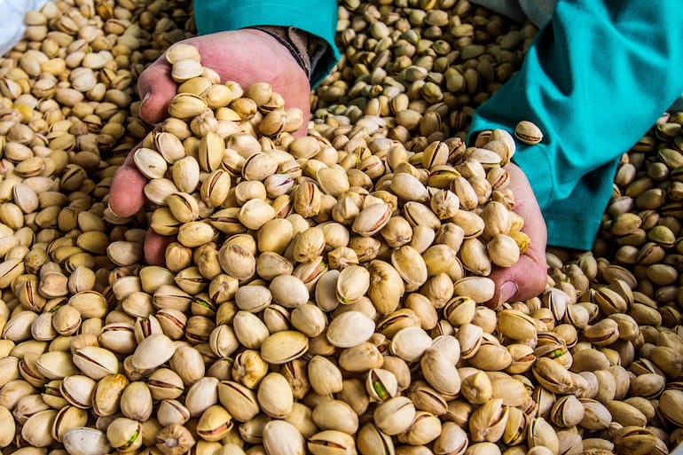 El 26 de febrero se celebra el Día Mundial del pistacho.