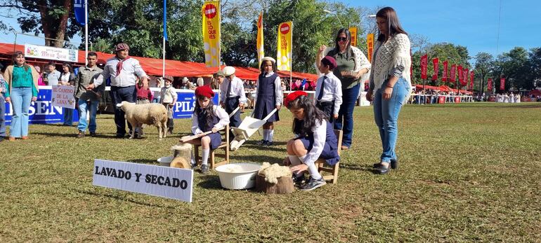 Los estudiantes muestran el proceso que lleva la lana que luego se convertirá en una abrigo.