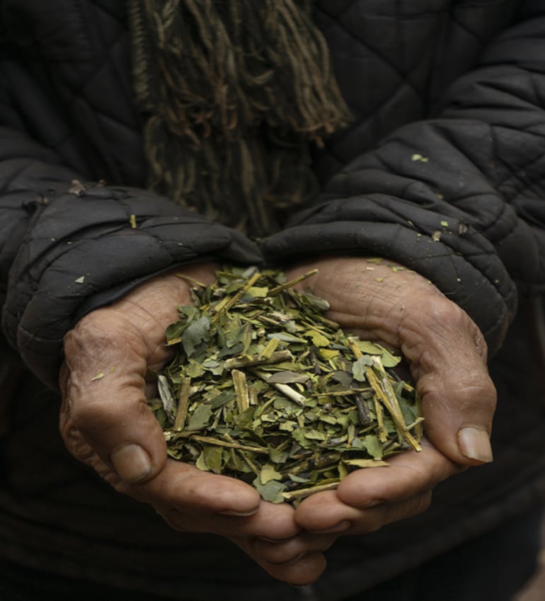 La yerba mate es el esencial para el preparado del mate o tereré.