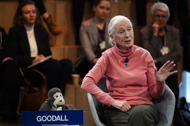 Jane Goodall