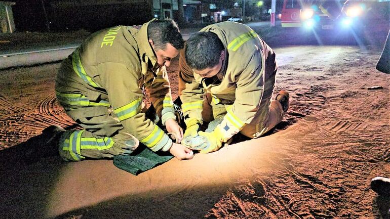 El rescate y liberación del yacaré estuvo a cargo del capitán Eduardo Gómez y el sargento Joel De Mattos.