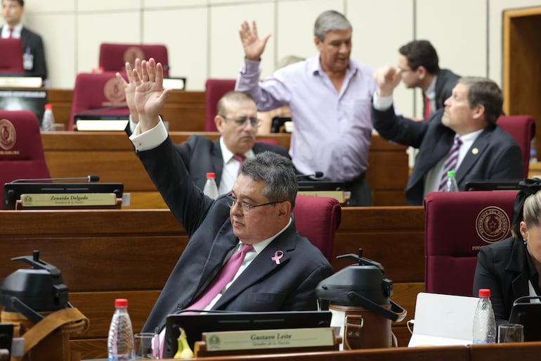 El senador Gustavo Leite (ANR, HC), vocero de la comisión "garrote" en la sala de sesiones del Senado.