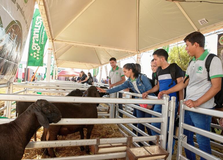 El público puede conocer de primera mano el trabajo que se hace en el campo.