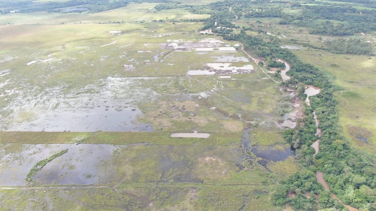 Así se ve actualmente la zona de humedales de la compañía Mainumby.