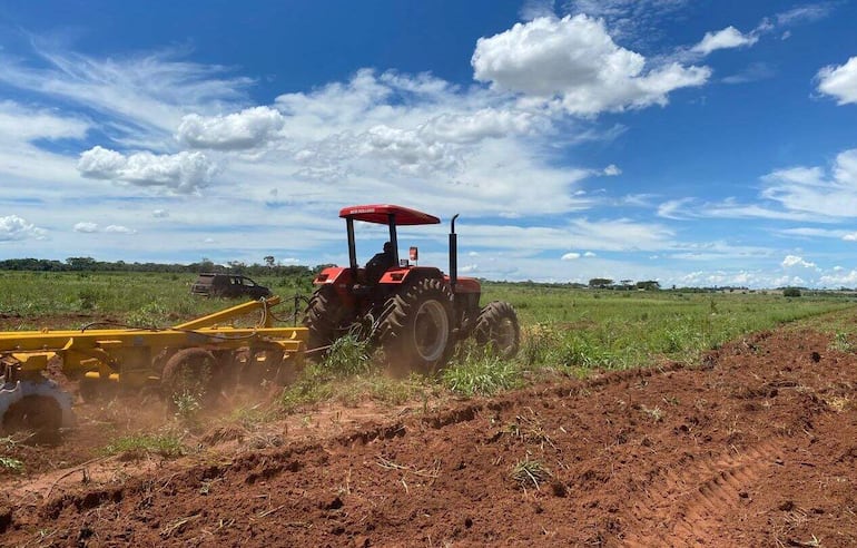 Actualmente los agricultores de los diferentes municipios de la zona se encuentran trabajando en la preparación de suelo para la siembra de los productos de la temporada