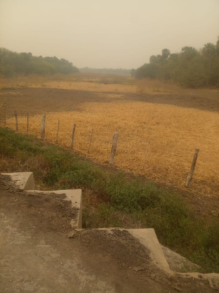 Así de seco se encuentra al otro lado de la represa construida por la empresa ganadera.