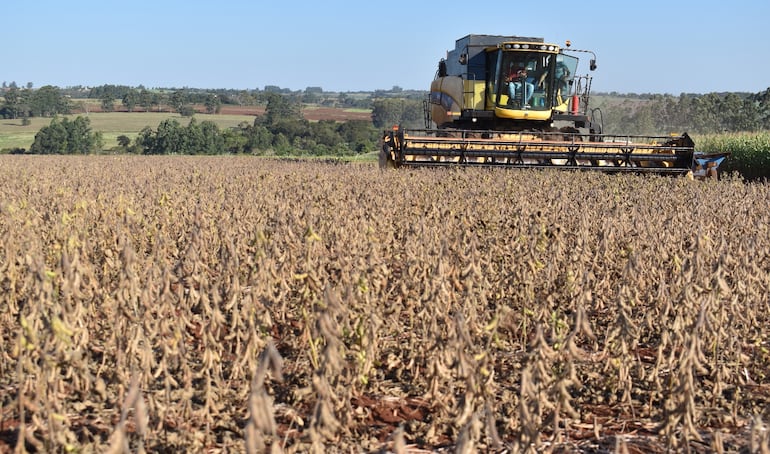 Paraguay produce alimentos, pero exigencias de la Unión Europea complican  poder vendérselos.