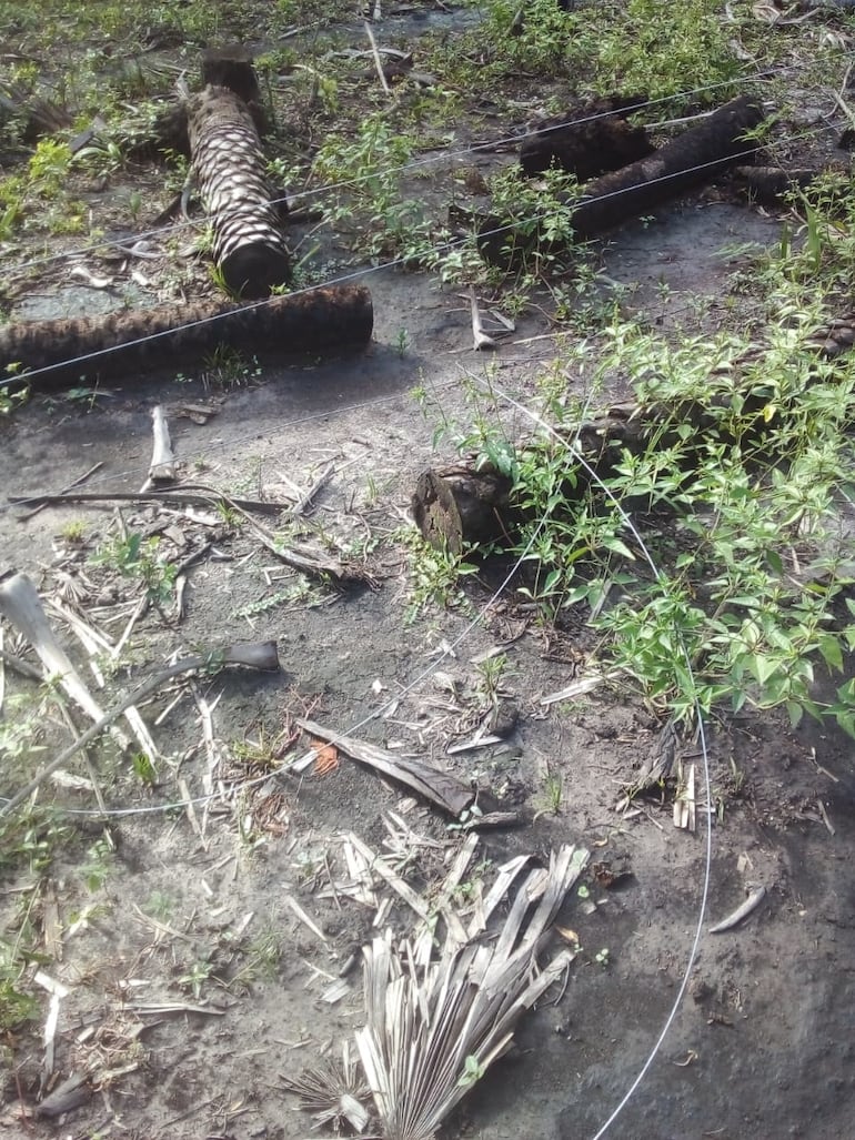 Los desconocidos cortaron en varias partes los alambres del potrero donde Zeballo tiene sus animales vacunos.