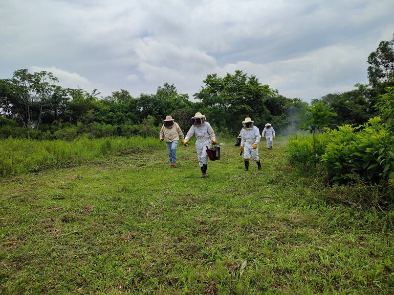 El proyecto Paraguay+Verde trabaja para mejorar la resilencia climática de familias campesinas e indígenas.