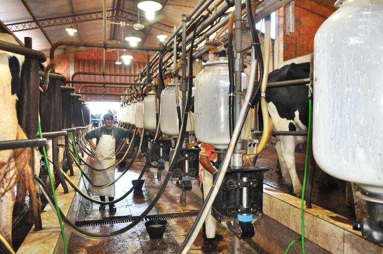 La tecnificación del ordeño facilita la extracción de leche en los tambos.