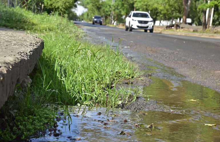 Avenida Perón, en Itá Enramada, está en estado de absoluto abandono. 