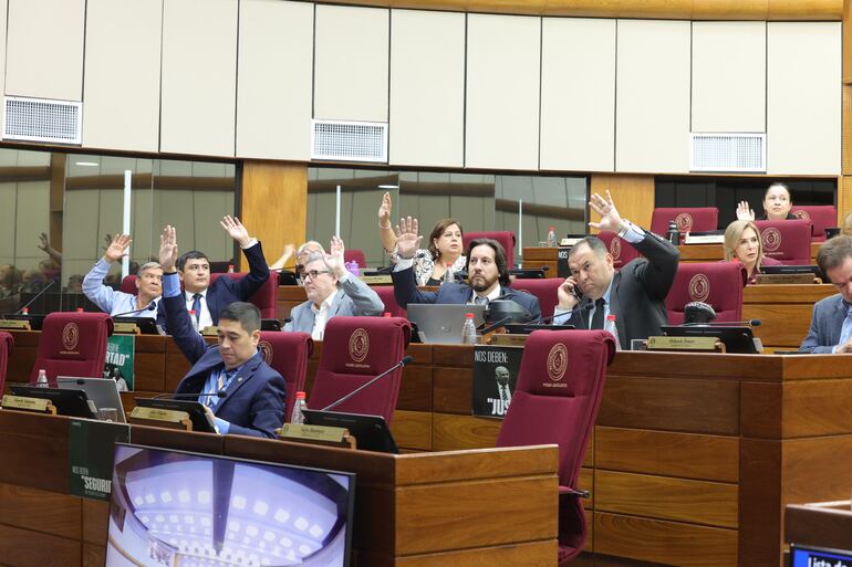 Sesión del Senado (Foto: Gentileza Prensa Senado)