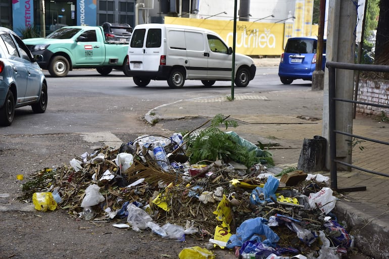 Vertederos irregulares también "adornan" a la avenida Mariscal López en su intersección con José Rodó.