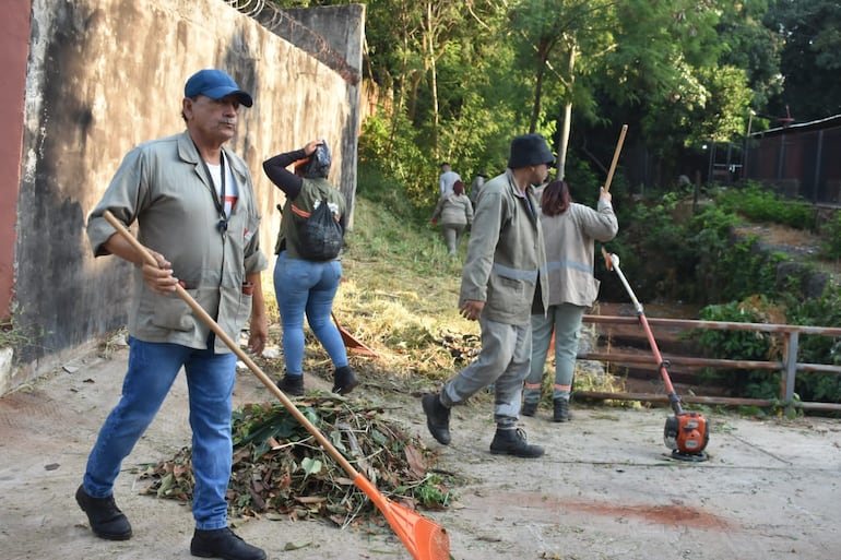 Minga en Asunción y Lambaré: multarán por más de G. 5 millones a propietarios de baldíos sucios