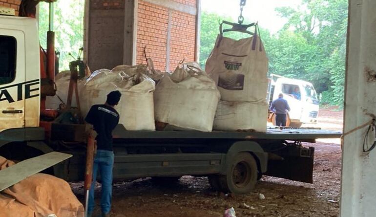 Bolsas con semillas de origen dudoso incautadas.