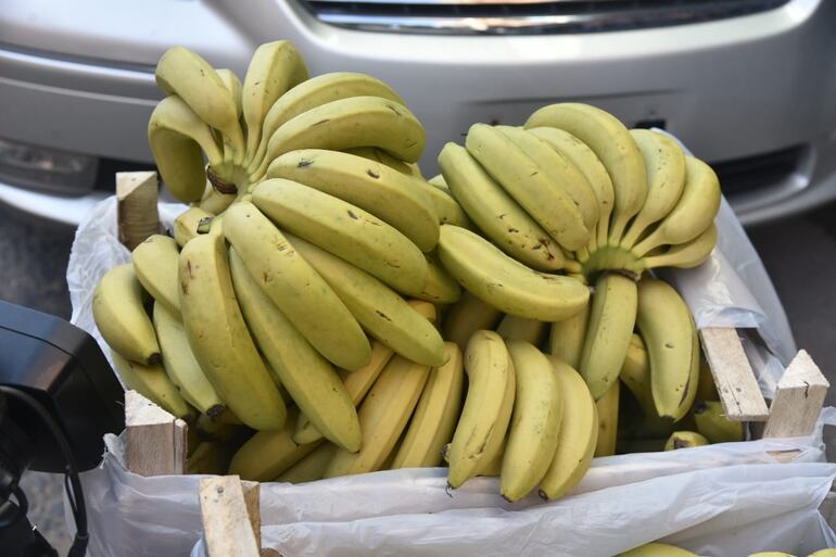 Los productores de bananas estiman una pérdida de G. 100 millones si es que en menos de una semana no entregan la carga que trajeron desde Tembiaporá, departamento de Caaguazú.